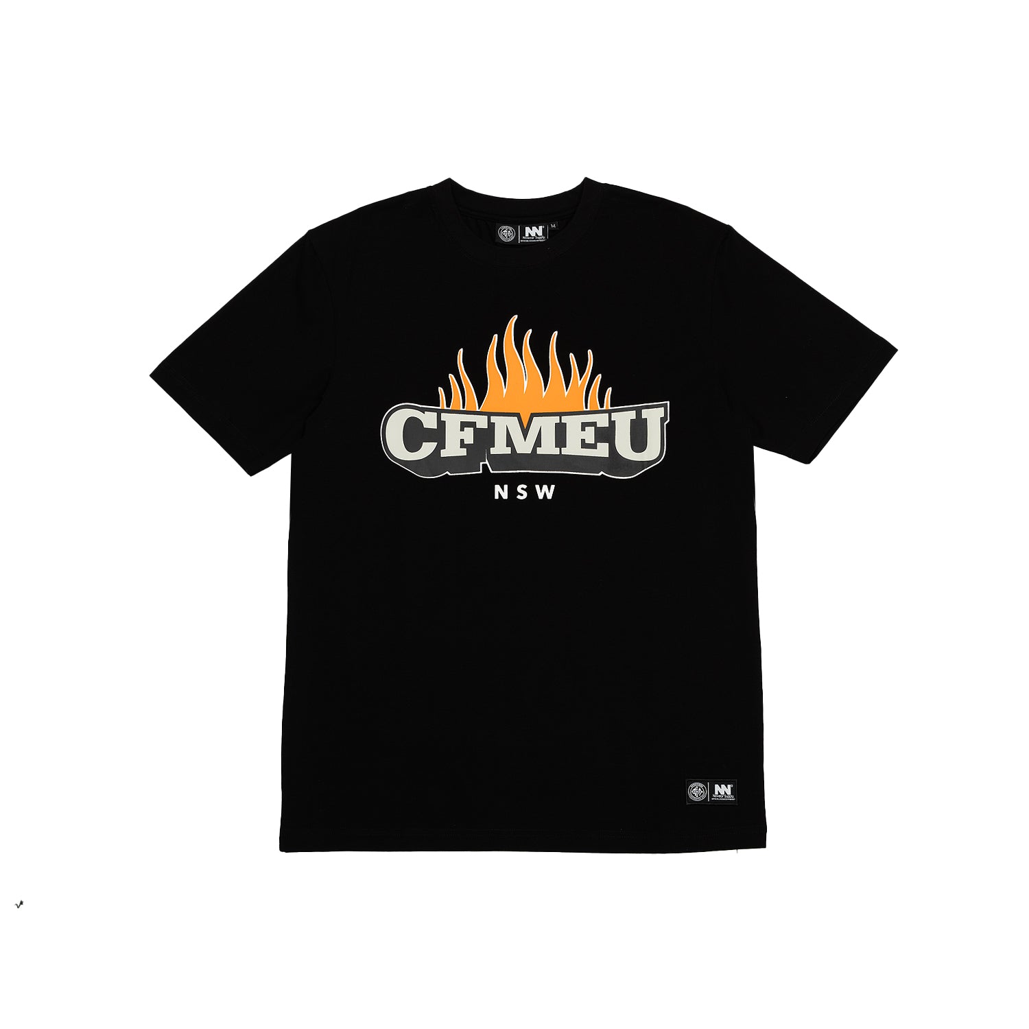IPWS TEE